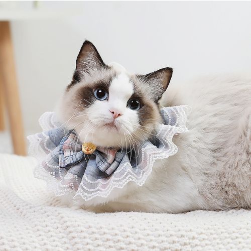 Pet Cat Dog Lace Lovely Scarf Collar