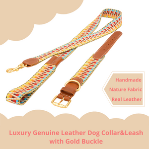 Luxury Genuie Leather Dog Collar Leash Gift Set