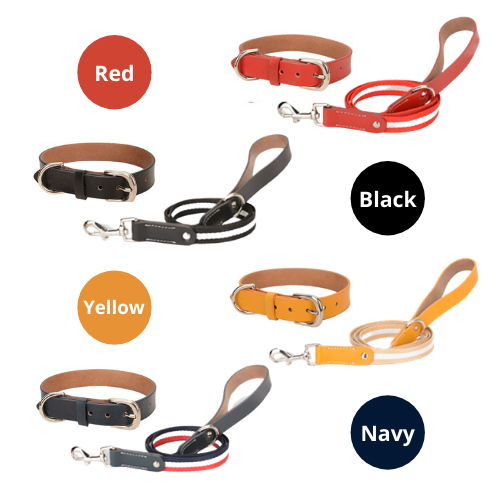 Genuine Leather Pet Neck Metal Buckle Collar & Leash