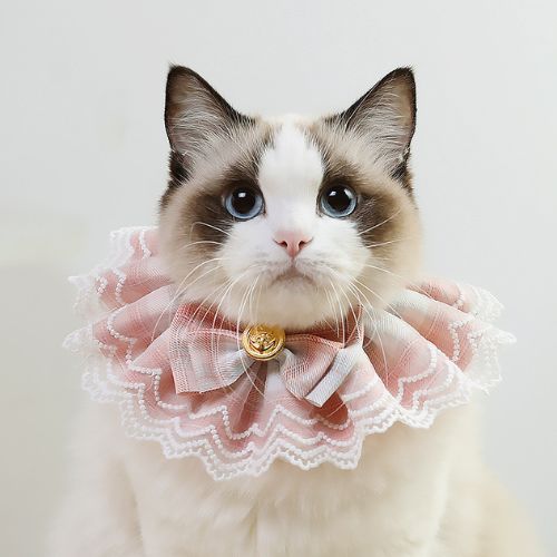 Pet Cat Dog Lace Lovely Scarf Collar