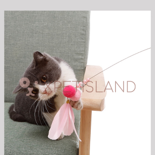 Cat Teaser Wand Gift Set - 3 Pcs