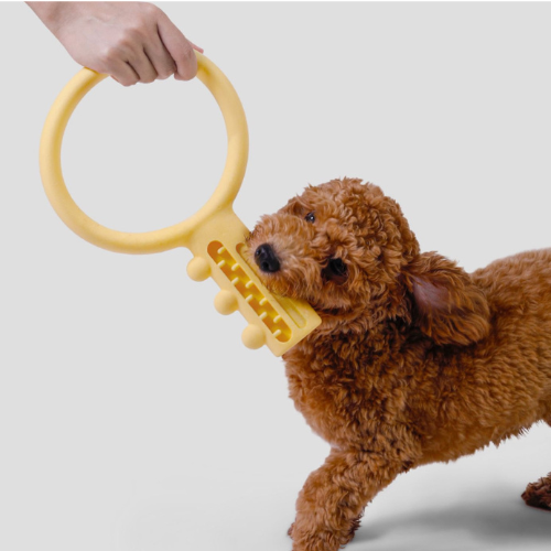 PETSHY Dog Interactive Bite Toy Key Style