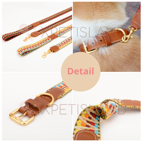 Luxury Genuie Leather Dog Collar Leash Gift Set