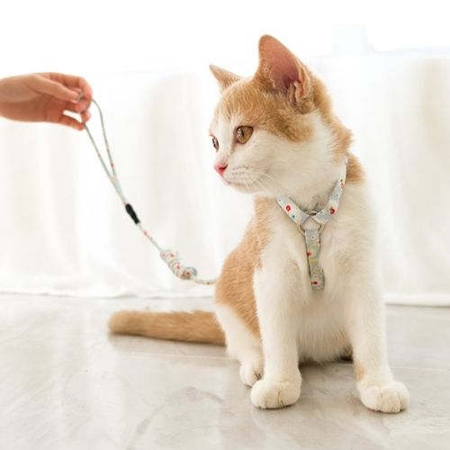 Japanese Inspired Cat Dog Walking Leash