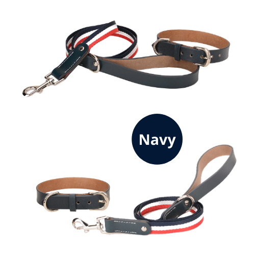 Genuine Leather Pet Neck Metal Buckle Collar & Leash