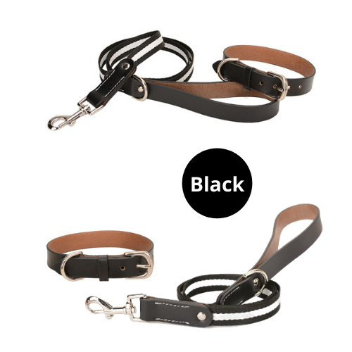 Genuine Leather Pet Neck Metal Buckle Collar & Leash