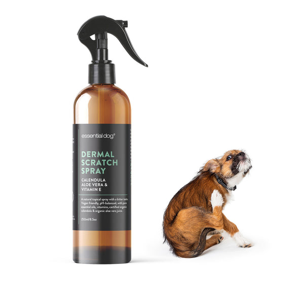 Essential Dog Dermal Scratch Spray for Dogs: Aloe Vera, Calendula & Vitamin E
