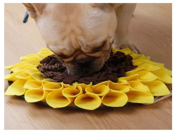 Dog Sniffing Pad - Sunflower
