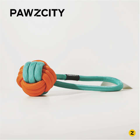 PAWZCITY Interactive Rope Ball With Loop