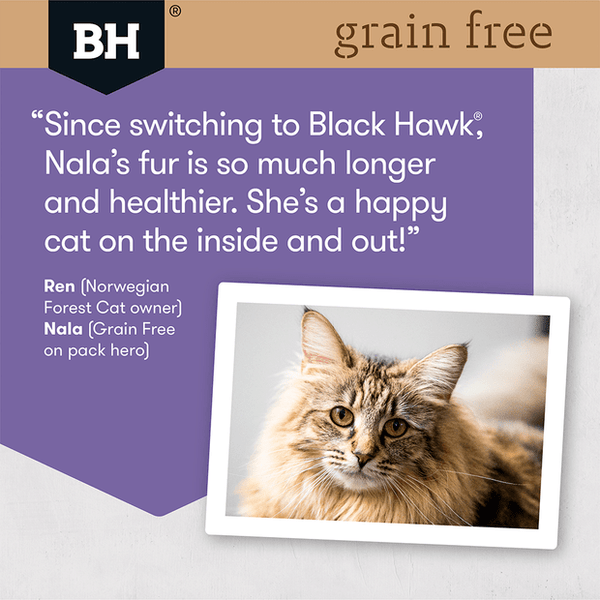 Black Hawk Grain Free Cat Food Duck and Fish - 2.5kg