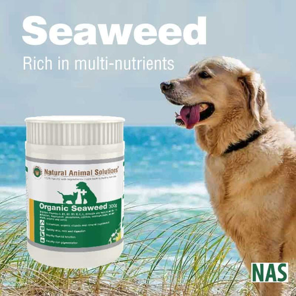 Natural Animals Solutions Organic Seaweed 300g